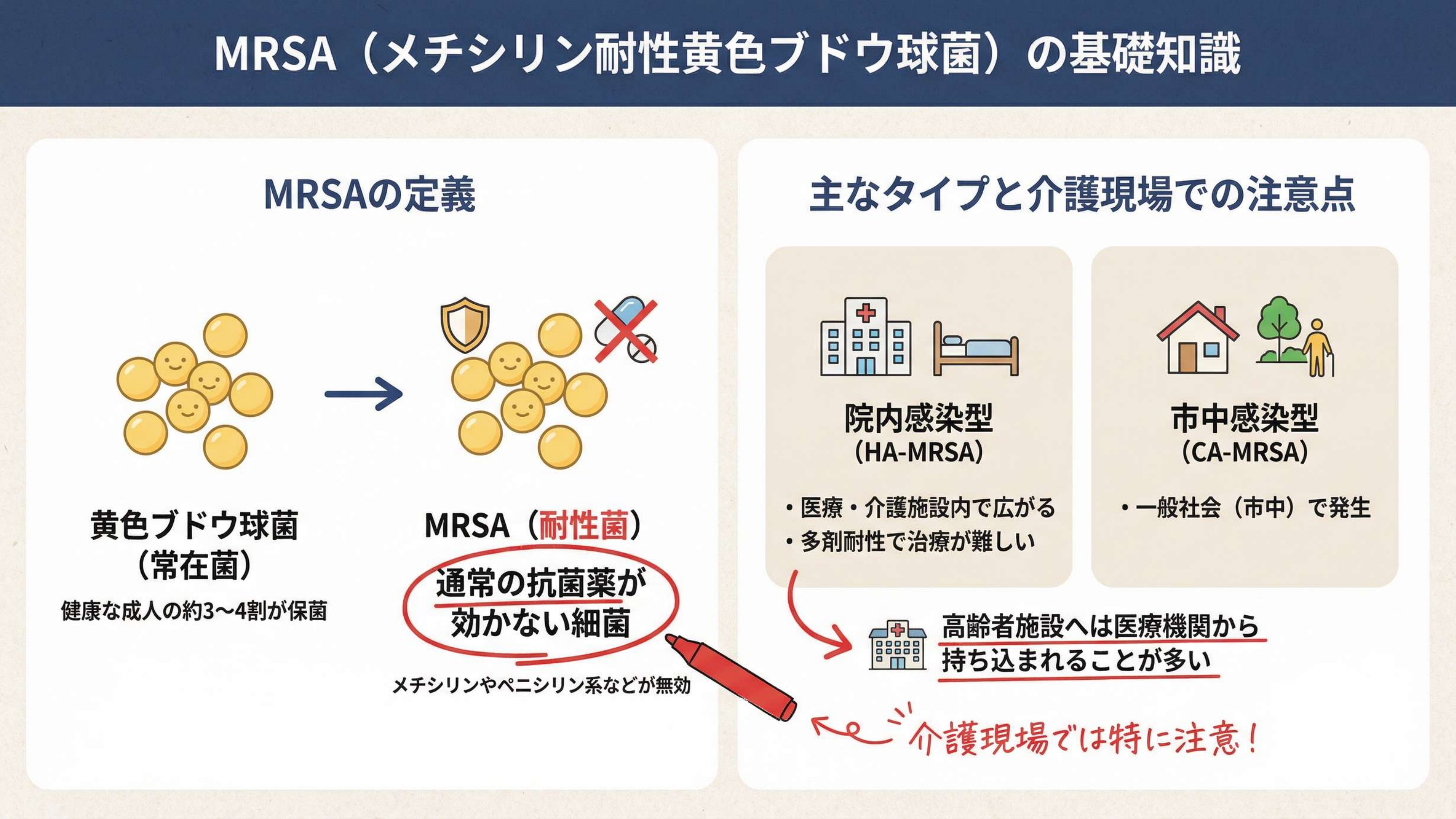 MRSAとは——“抗生物質が効きにくい菌”